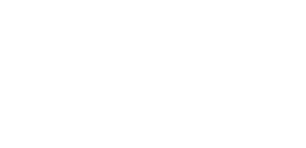PepsiCo Logo