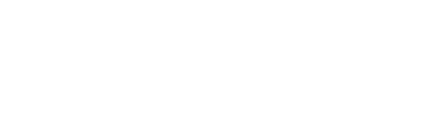 Flyiin Logo