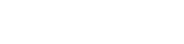 Pleroma Logo